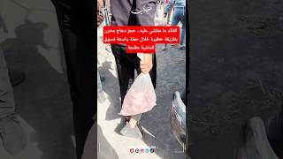 القائد ما عقلشي عليه.. حجز دجاج مخزن بطريقة خطيرة خلال حملة واسعة فسوق الماشية بطنجة