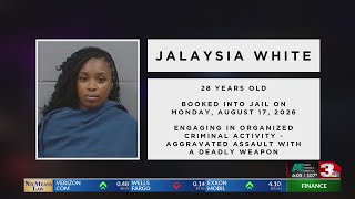 Second suspect in Spudder Park brawl arrested