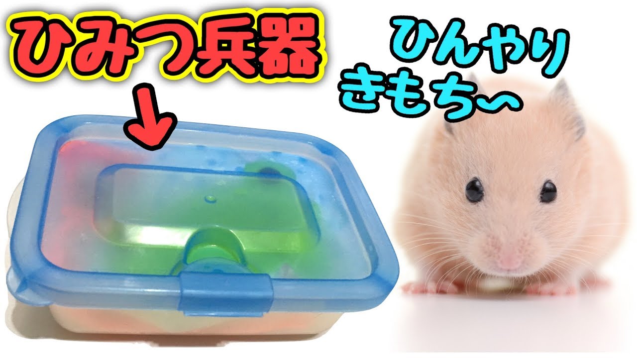 冷間 クール ペットマット 小動物 6x10cm ハムスター ひんやり 暑さ対策