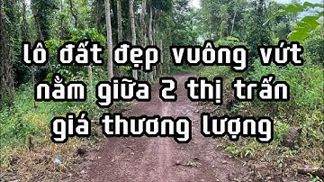 chị liên cần bán nhanh lô đất đẹp của mình để giải quyết ngân hàng ở châu đức bà rịa vũng tàu giárẻ