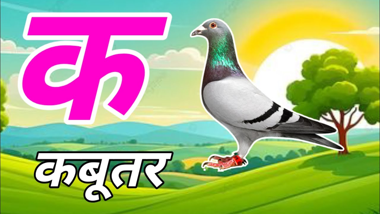 ka se kabutar kha se khargosh ga se gamla divya school