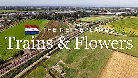 Trains & Flower fields in Warmond and Sassenheim