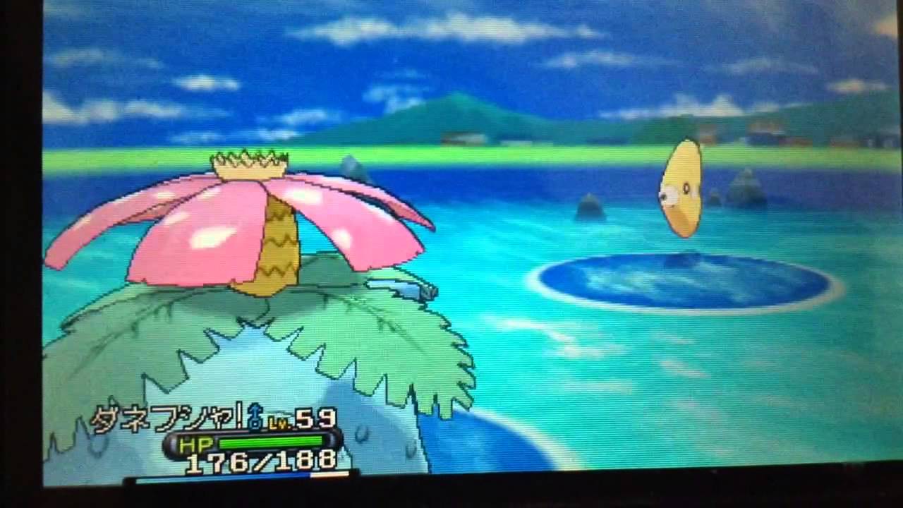 連続釣り 1 色違いラブカスget Youtube