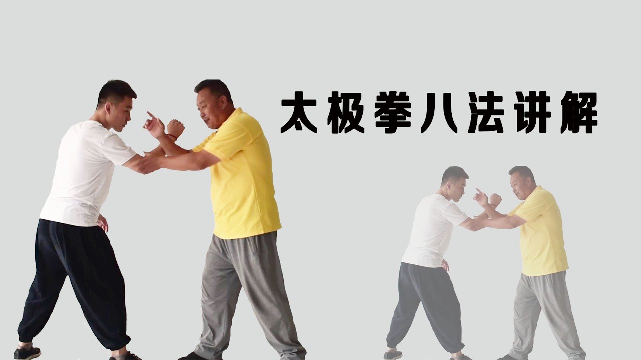 来几招!太极拳顺势而为,看庞恒国师傅如何运用!(Taichi) - YouTube