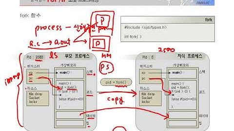 [열혈강의] TCP/IP 소켓 프로그래밍 - #18 7장 fork 함수 (1)