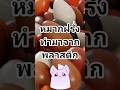 หมากฝรั่งทํามาจากพลาสติก