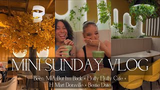 MINI SUNDAY VLOG | Been MIA But I’m Back + Fluffy Fluffy Cafe + H Mart Doraville + Bestie Date Information