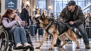 “Is This Seat Taken” Disabled Girl Sat Near a Navy SEAL — His Dog Instantly Shifted Into Guard Mode