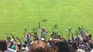 Sp. Espinho 4-0 Romariz || Cheira Eucalipto (e Golo do Espinho)