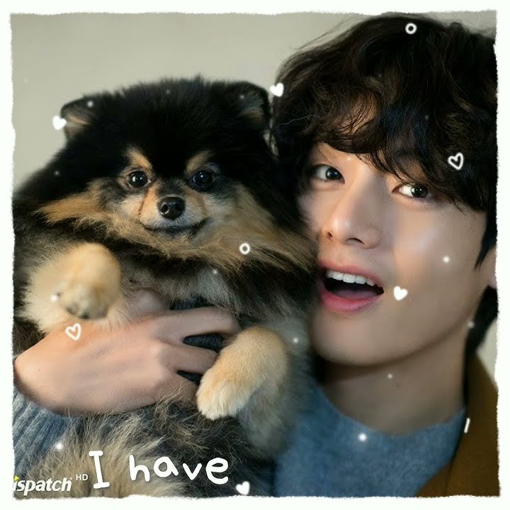 whose got the cutest pet on the internet? 😍| #bts #yeontan #taehyung #pet #army #shorts