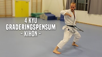 4.Kyu - Kihon