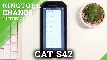 How to Change Ringtone on CAT S42 – Open Sounds Settings