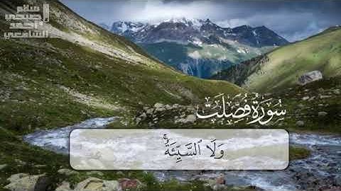 ومن أحسن قولا ممن دعا إلى الله وعمل صالحا وقال أنني من المسلمين  ♡ تلاوة عطرة من سورة فصلت