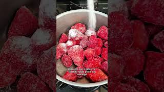 Mousse Abacatudo com Geleia de Moranguete #abacatudo #moranguete #noveladefrutas #frutaria #receita