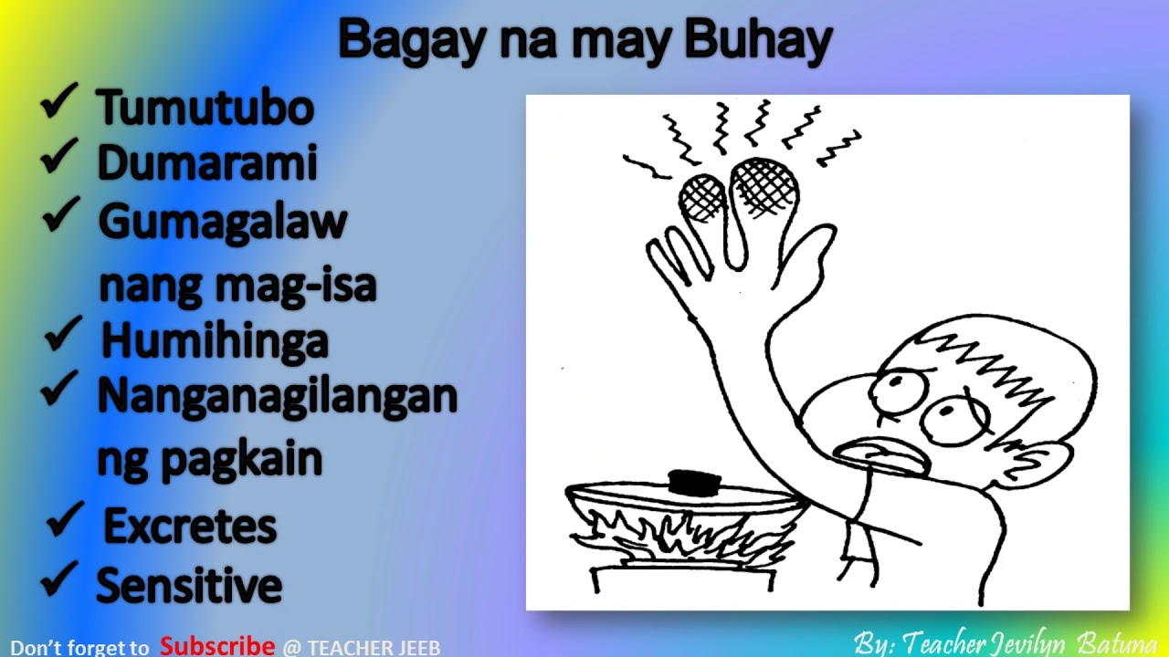 Mga Bagay na may Buhay at Walang Buhay|Living and Non Living Things