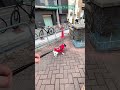 マイペースなフレブル 突っ張る!大好きな公園も拒否!? 飼い主が好きすぎるフレンチブルドッグ『ぶーちゃん日記』 #フレンチブルドッグ #散歩 #frenchbulldog