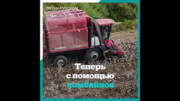 Что в Турции делают из хлопка, помимо ткани и ваты?