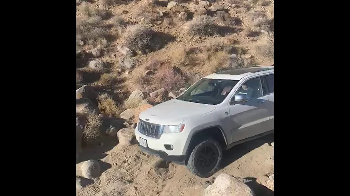 Quadra Trac 1 vs Quadra Trac 2 vs Quadra Drive