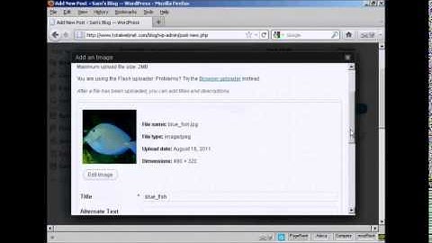 Insert and Format Images in Wordpress