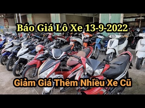 Video BÁO GIÁ LÔ XE NGÀY 13-9-2022 l NHIỀU XE ĐẸP GIÁ RẺ l... - youtube