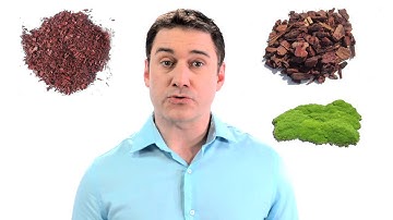 Water conservation tips: mulch