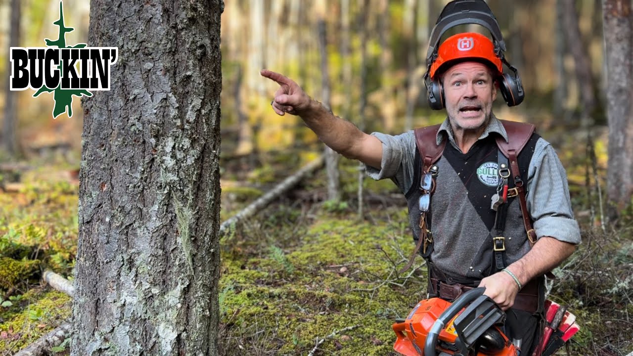 WRONG WAY!  It’s got to go out here . Wedging tree. 