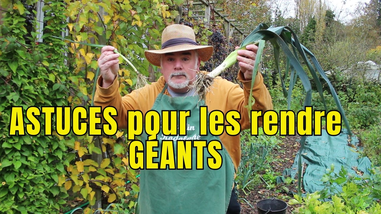 Ton Poireau ne grossit PAS ? J'utilise ÇA ( Résultats GARANTIS en Novembre !)