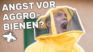 die wohngemeinschaft - Mallorca | Folge 9