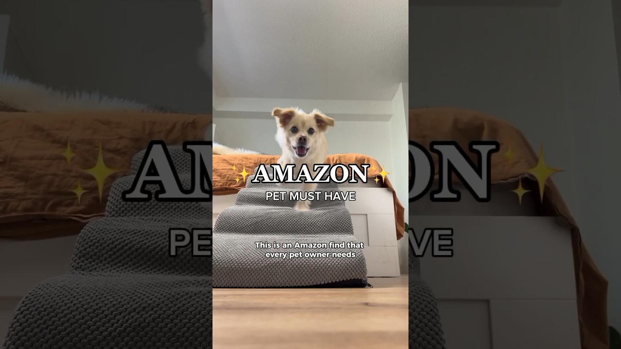 THESE STAIRS WILL SAVE YOUR DOG’S JOINTS