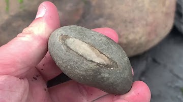 Saltwick Bay Fossil Hunting