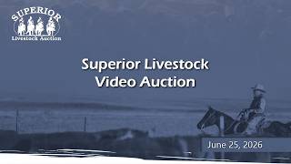Superior Livestock Auction -06/25/2026