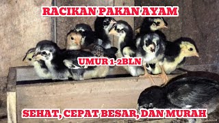 Lebih Hemat Dan Sehat !! Racikan Pakan Anak Ayam Umur 1-2 Bulan Agar Cepat Besar.