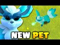 New Spirit Fox Pet in Clash of Clans!