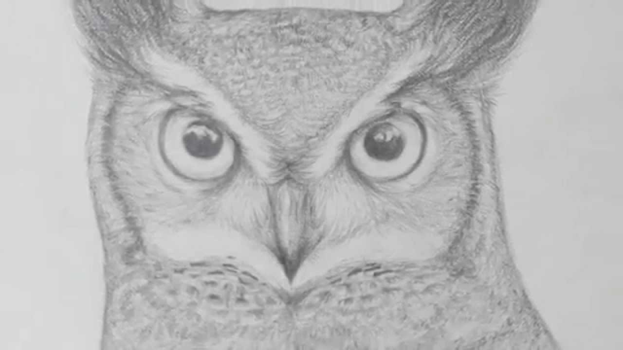 Pencil Owl Drawing Youtube