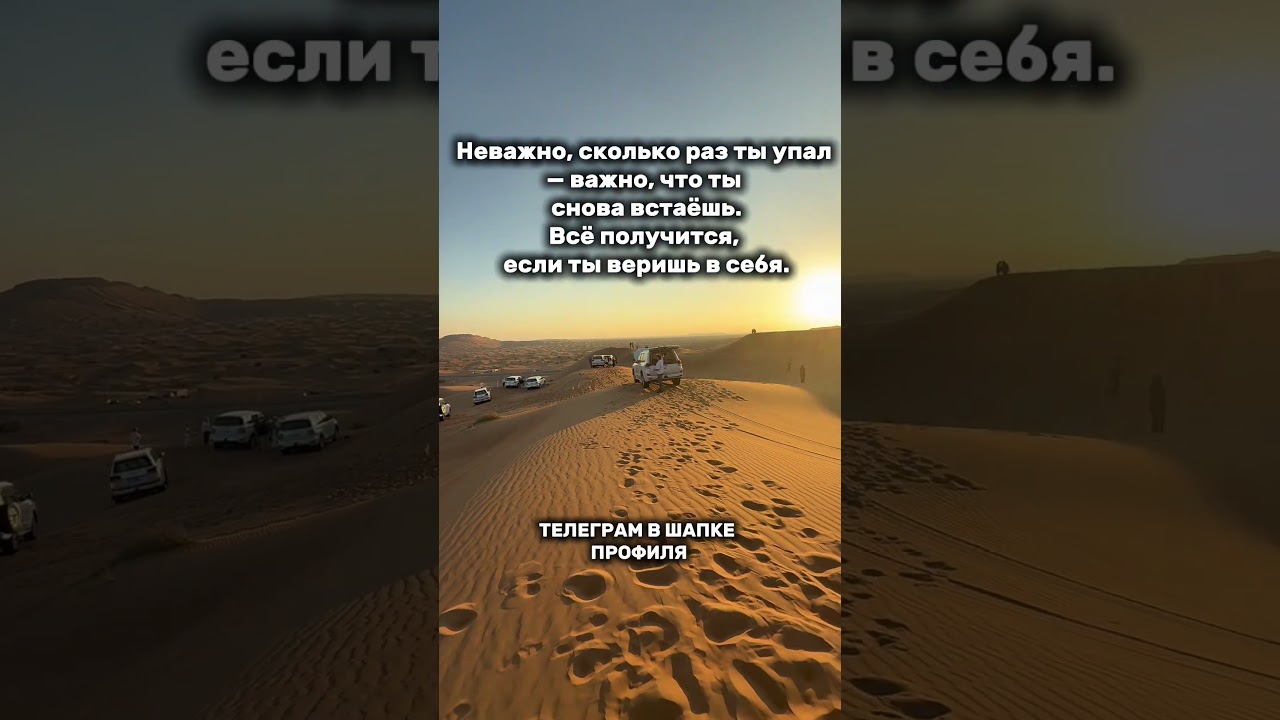 Хочешь обучаться трейдингу?залетай в тгк 