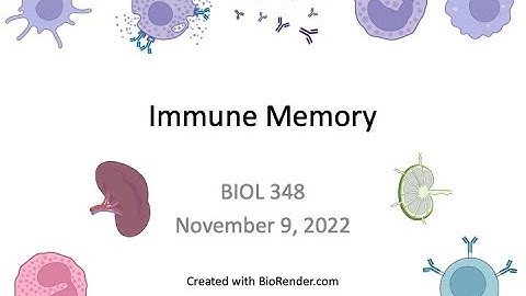Immunology Fall 2022: Lecture 28 Immune Memory