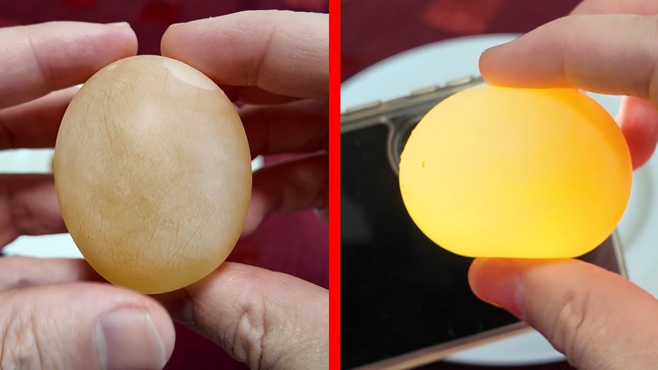 How to Make an Egg with No Shell – Fun Science Experiment