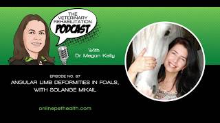 Angular Limb Deformities in Foals, with Solange Mikail