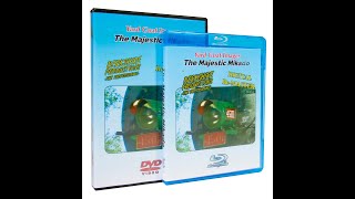 Promo - Southern 4501: The Majestic Mikado