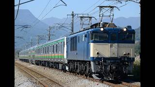 EF64-1000新津配給(E233系3000番台タカ車・チタ車)