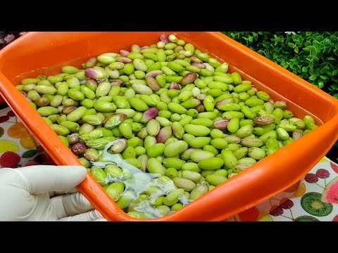 الحقي هاتيه وخلليه الزيتون الكالاماتا اوالدولسي بالطريقه الصحيحه من الالف للياء الزيتون المخلل