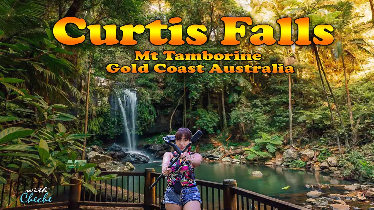 Curtis Falls Mount Tamborine Gold Coast / Curtis Falls Waterfall