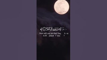 تلاوة من سورة القيامة --القارئ ياسر الدوسري #قرآن #ياسر_الدوسري #تلاوة_خاشعة #صلوا_على_النبي_محمدﷺ