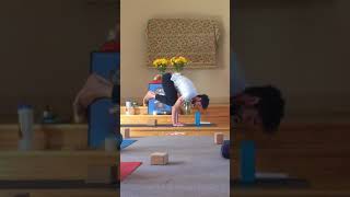 2018 YTT Practicum Excerpt