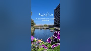 قرآن كريم بصوت جميل جدا #قرآن #قرآن_كريم #اكسبلور #قرآن #قرآن_كريم