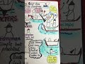 Aesop and the Ferryman #literature #fablesforkids #english #sketchnotes #art #fablesandfolktales