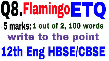 important essay type questions class 12 english hbse cbse by vijay kumar