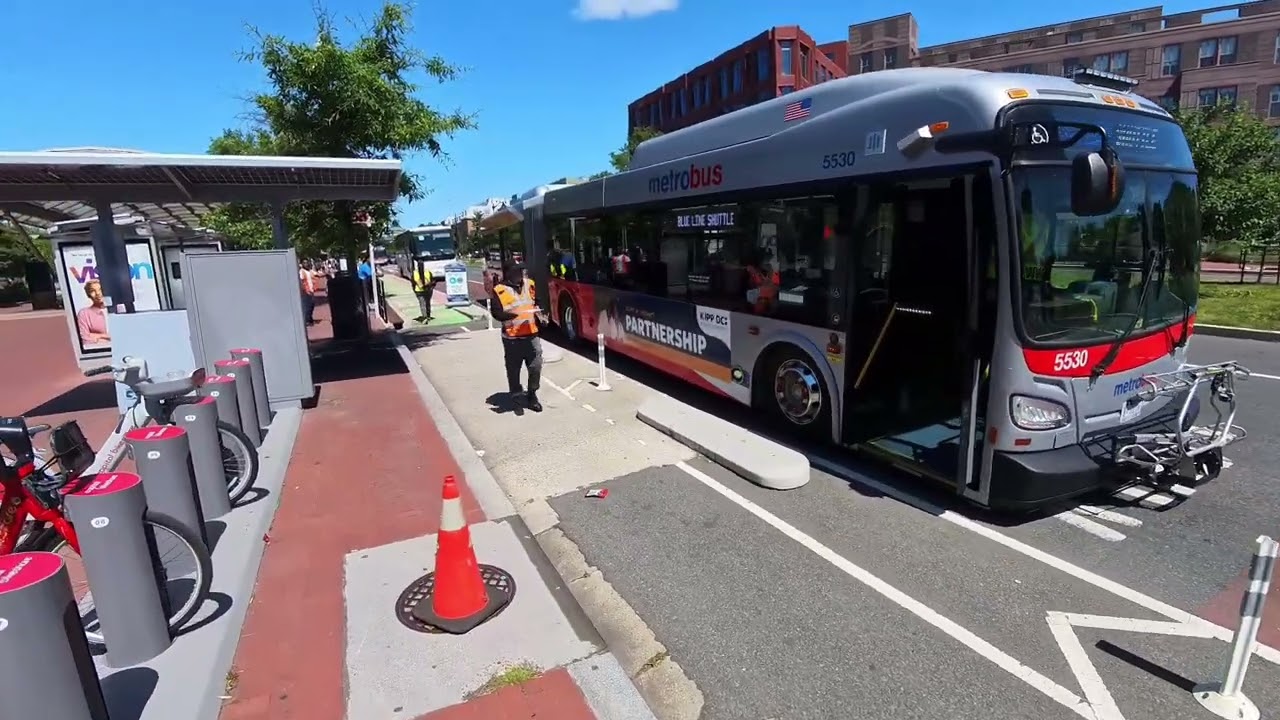WMATA New Flyer Metrobuses & MCDOT Ride-On Gillig Buses | Transit Action Series 4