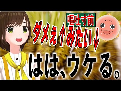 【わさび】吐きそうなパンディと吐いてほしくないかしこまり【MaiRコラボ】