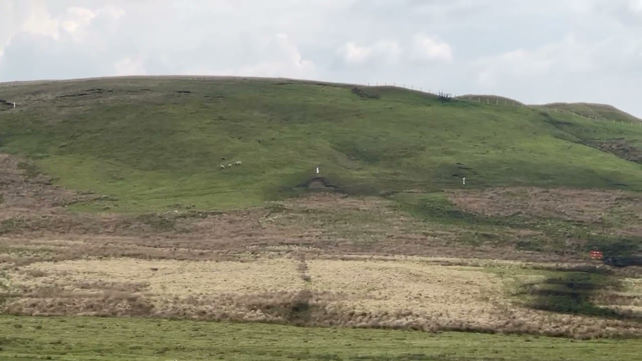 2021 Deerplay Qualifier - Ger Egan with Gwen